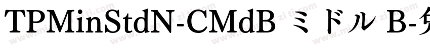 TPMinStdN-CMdB ミドル B字体转换